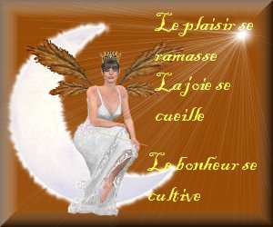 PLAISIR